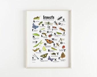 ABC Insectos del Noroeste del Pacífico Cartel / Alphabet Bugs Bellas Artes Archivo Giclee Impresión / Acuarela Naturaleza Impresión