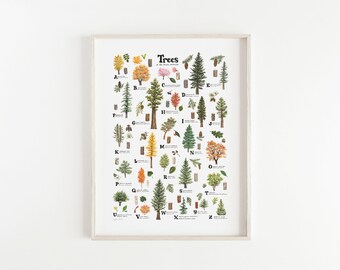 ABC Trees of the Pacific Northwest Print / Alphabet Trees Print / Watercolor Native Plants Giclee Print