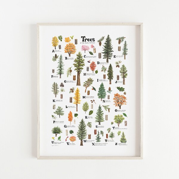 ABC Trees of the Pacific Northwest Print / Alphabet Trees Print / Watercolor Native Plants Giclee Print