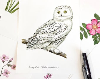 Snowy Owl, Original Watercolor