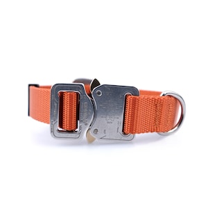 Orange Dog collar with Polished Cobra Quick Release buckle