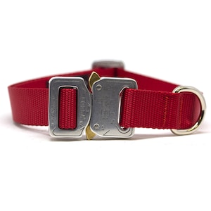 Red Dog collar with Polished Cobra Quick Release buckle, Nylon Webbing