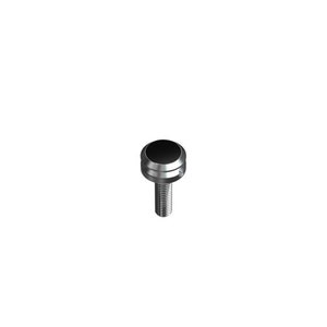 May include: A silver screw with a black plastic knob on top.