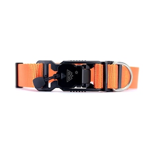 May include: Orange nylon dog collar with a black buckle and a silver D-ring. The buckle has a logo with a mountain and a star.