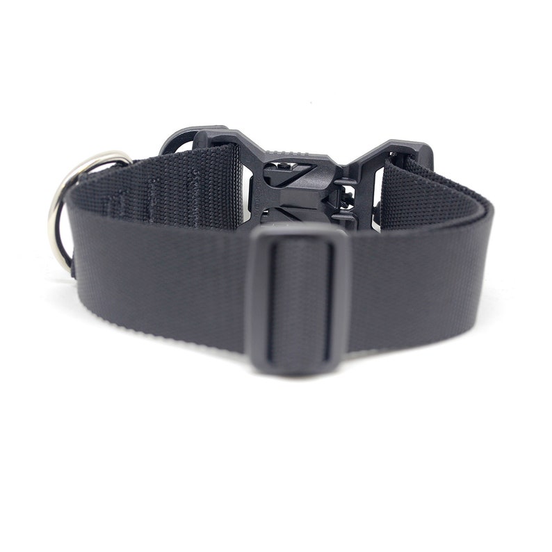 1.5 Inch Dog Collar with Fidlock® VBuckle Zip Pull Etsy