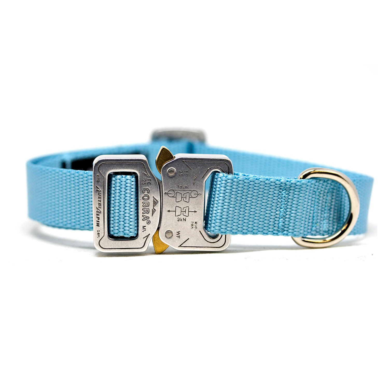 light blue dog collar