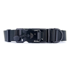 VBuckle Collar Raven