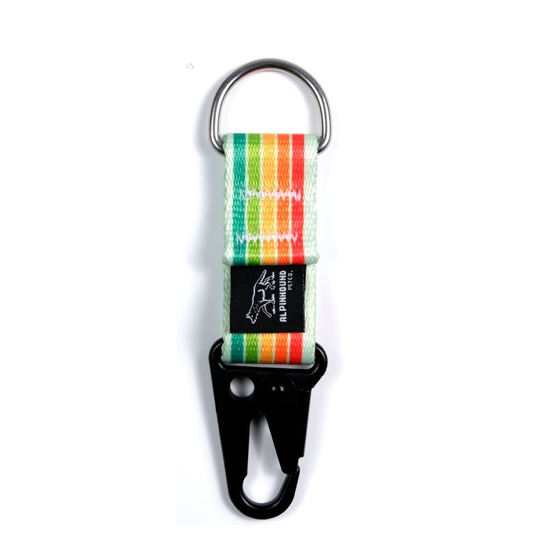 Pu&ograve; includere: Un portachiavi a righe arcobaleno con un moschettone in metallo nero e un anello argentato. Il portachiavi ha la scritta "ALPINHOUND PETCO." stampata su di esso.
