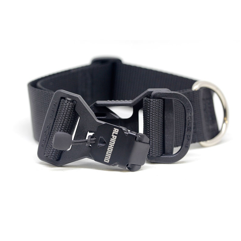 1.5 Inch Dog Collar with Fidlock® VBuckle Zip Pull Etsy