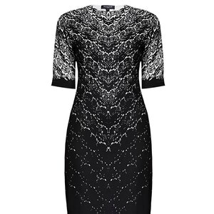 Printed Lace Monochrome Short Sleeves Fitted Dress by Rumour London image 3