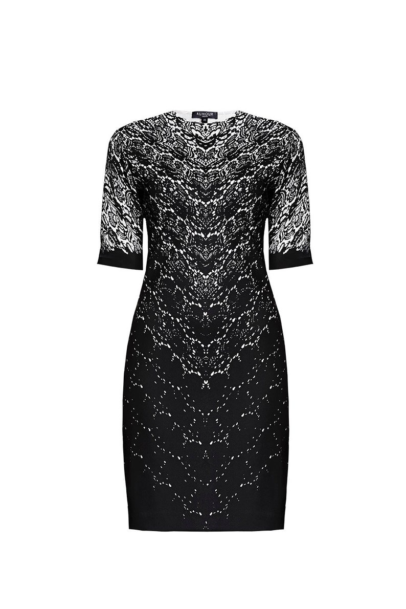 Printed Lace Monochrome Short Sleeves Fitted Dress by Rumour London image 3