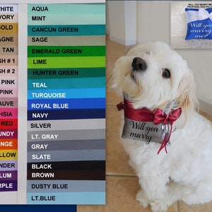 Wil je met me trouwen?, Verlovingskussen hondenring, huwelijksaanzoek hond, voorstelidee, Veiligheidsring trouwhond
