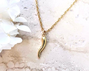 14K Gold Filled Italian Horn Necklace: Good Luck Charm Amulet