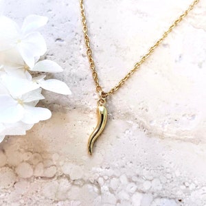 14K Gold Filled Italian Horn Necklace: Good Luck Charm Amulet