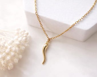 Toddler Italian Horn Necklace, Cornicello Charm Necklace for Kids, Dainty Gold Good Luck Amulet, Little Girl Protection Jewelry Gift
