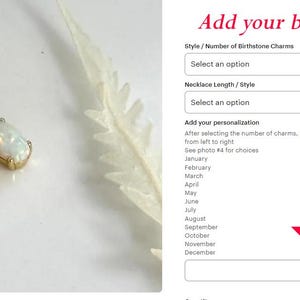 May include: A gold-colored necklace with two gemstone pendants: a rectangular aquamarine and an oval opal. The necklace is displayed on a white surface, with a feather-like object in the background. The text "Add your birthstone" is visible.