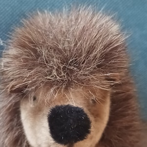 Hedgehog Vintage Hedgehog Steiff Vintage Steiff Vintage Hedgehog Vintage Hedgehog Steiff