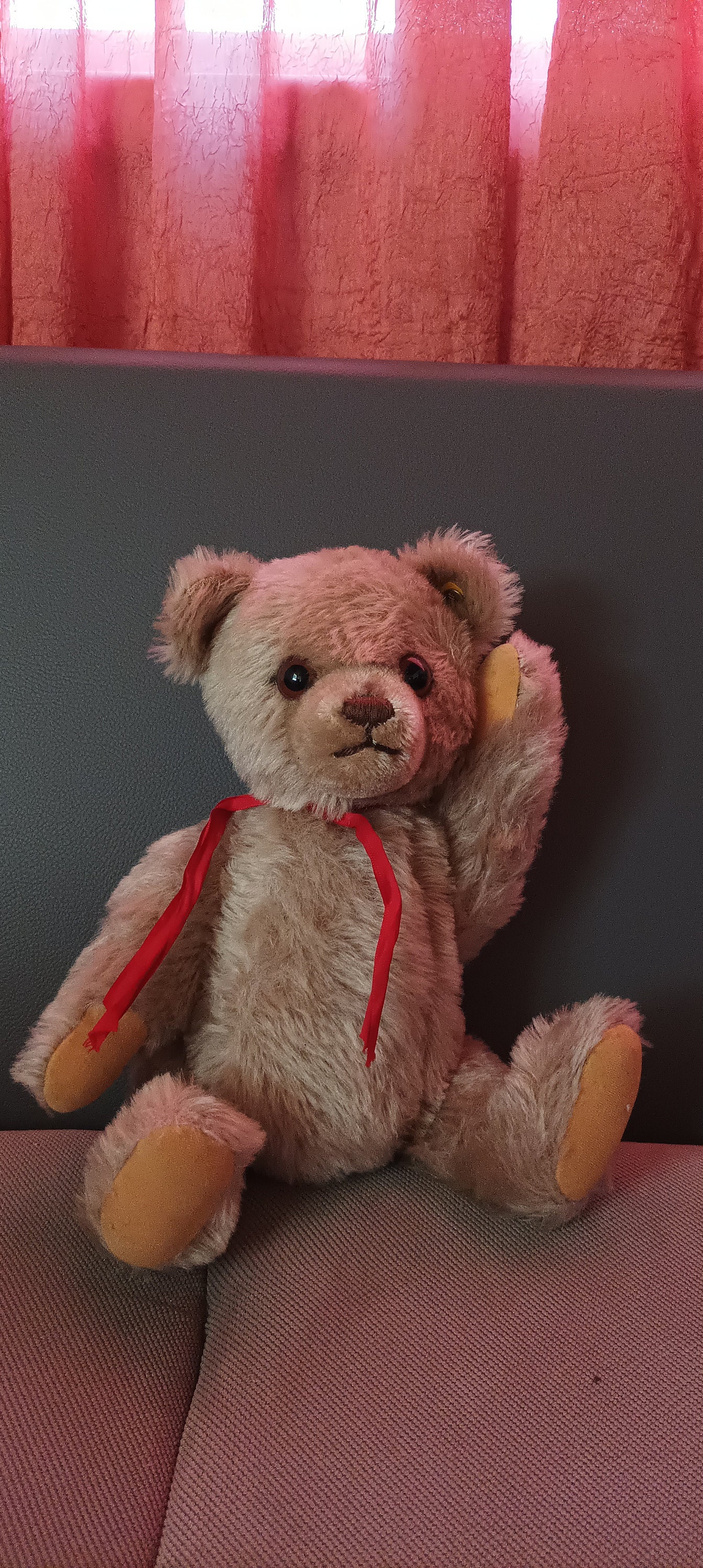 Steiff brummbar - Etsy 日本