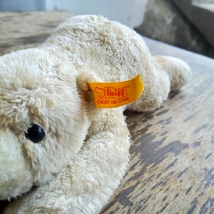 Bear Polar Bear Steiff Bear Vintage Steiff Polar Bear White Steiff Bear