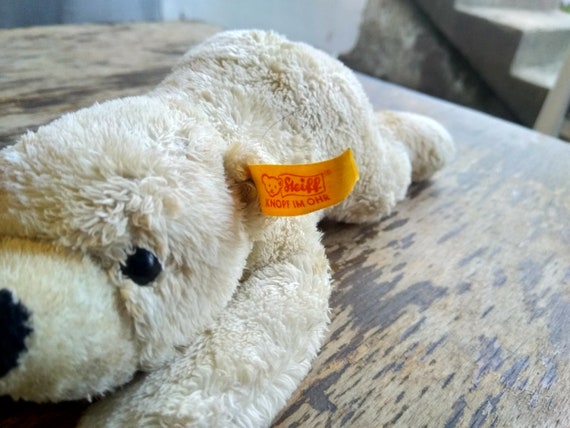 steiff bear white