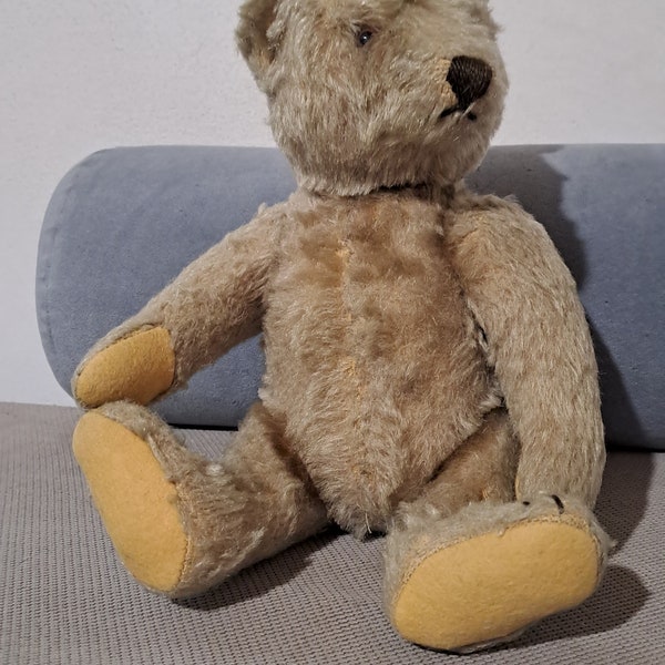 Steiff Teddy Steiff Teddy Bear Steiff Bear Teddy Bear Vintage Teddy Bear Bear Vintage Steiff Teddy Bear  Stuffed Bear Mohair Bear