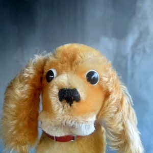 Puede incluir: Un perro de peluche con pelo marrón y blanco, ojos grandes negros y un collar rojo. El perro tiene orejas caídas y una expresión dulce.