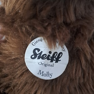 Steiff molly bear - Etsy 日本