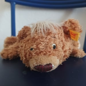 Steiff My Friend Knopf Bear  Bear Steiff Bear Vintage Steiff Bear