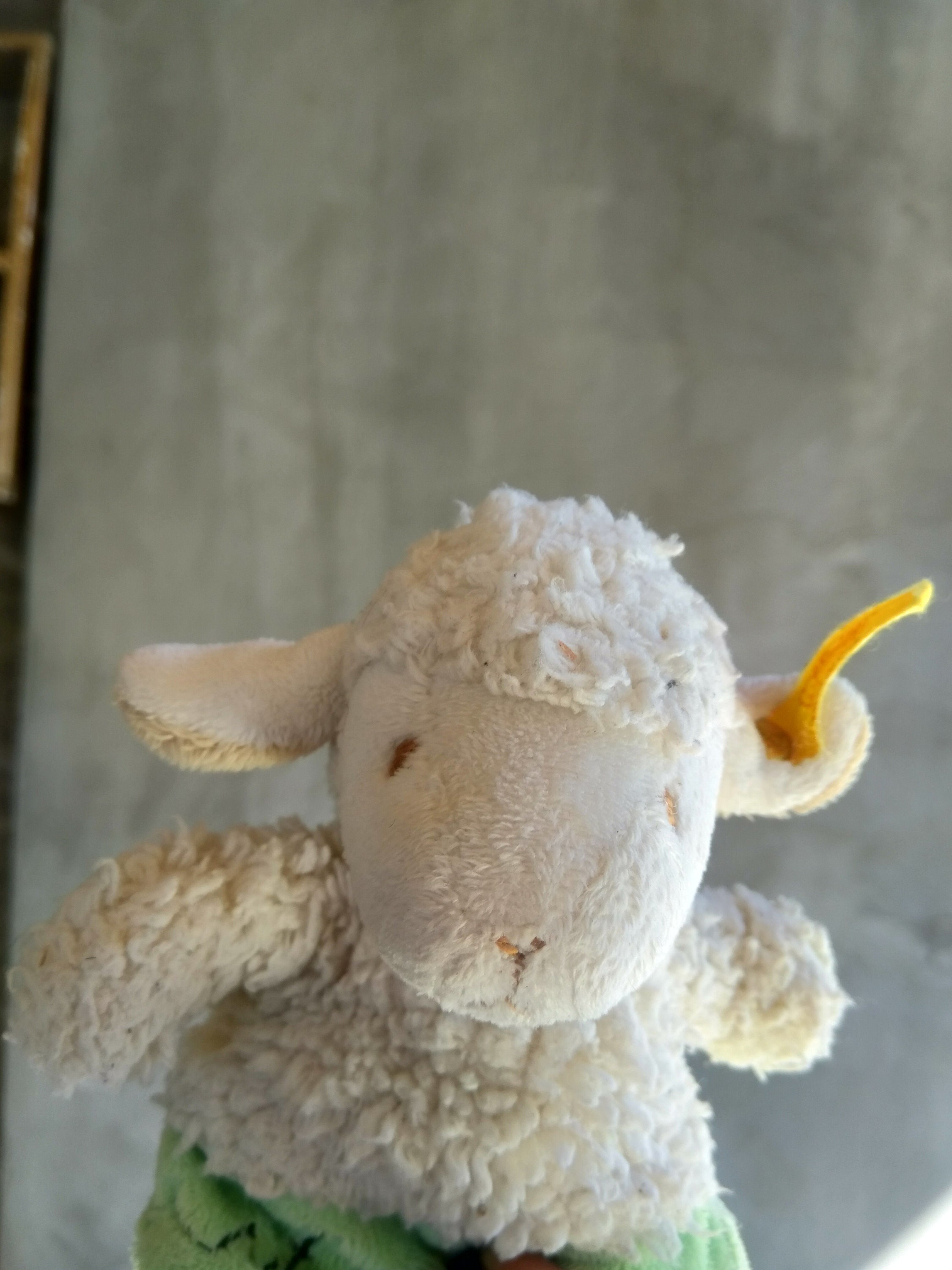 old lamb stuffed animal