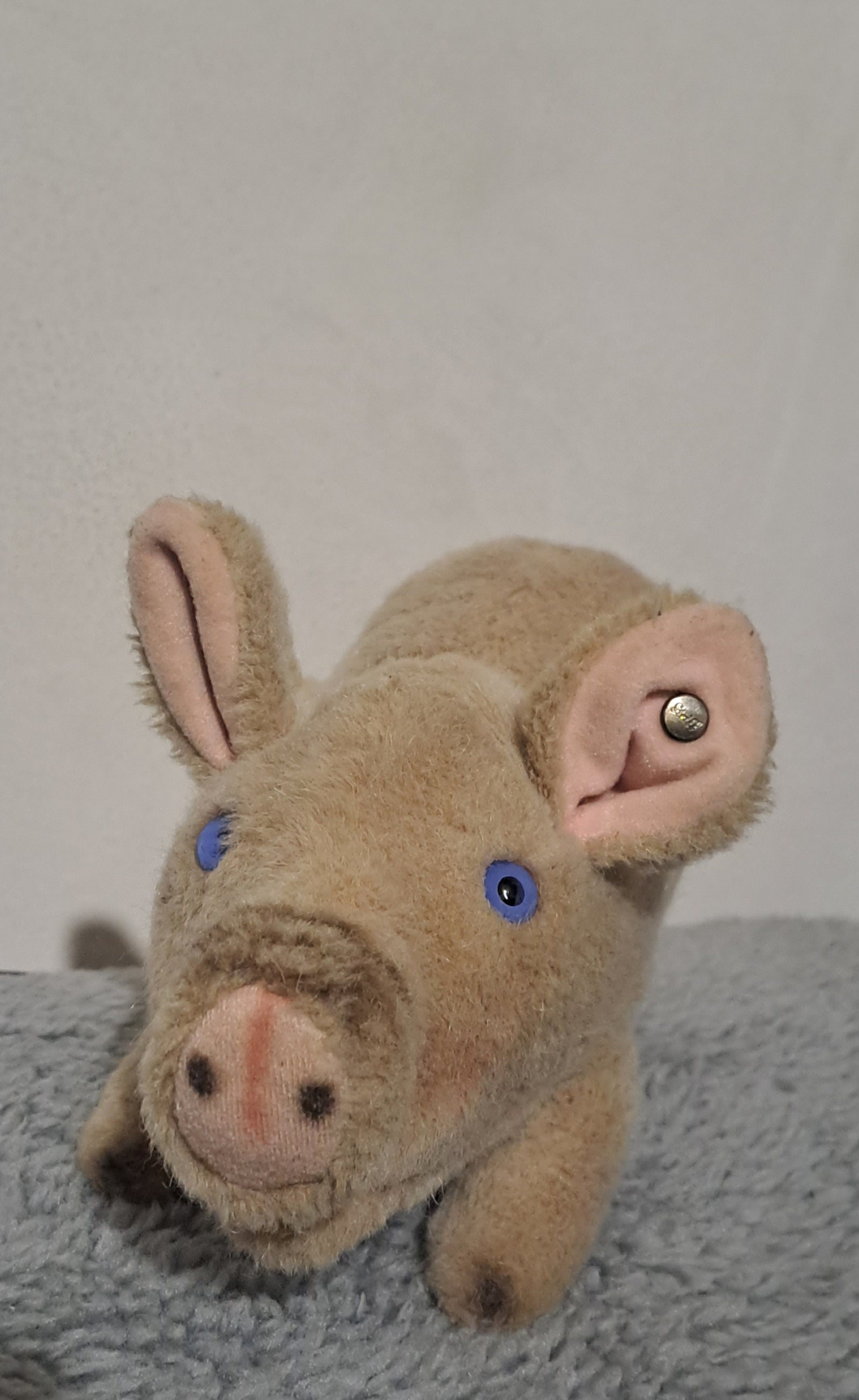 Vintage Steiff Pig - Etsy