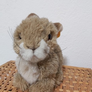 Coelho Vintage Coelho Antigo Alemão Steiff Bunny