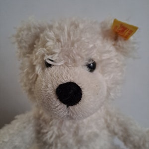 Bear Soft Bear Steiff Bear Vintage Steiff Plush Bear Charly Steiff Bear