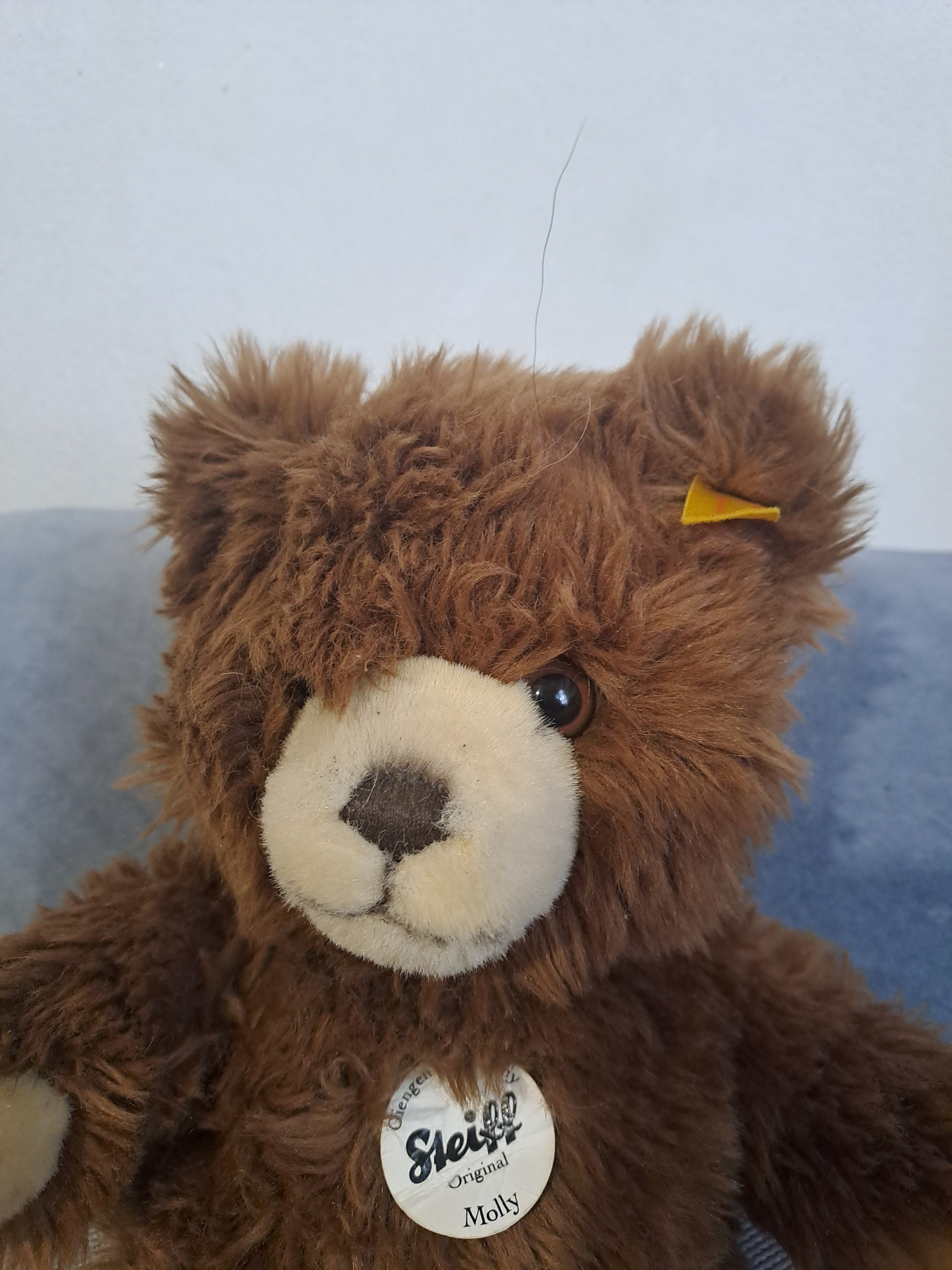 Steiff zotty bear - Etsy 日本