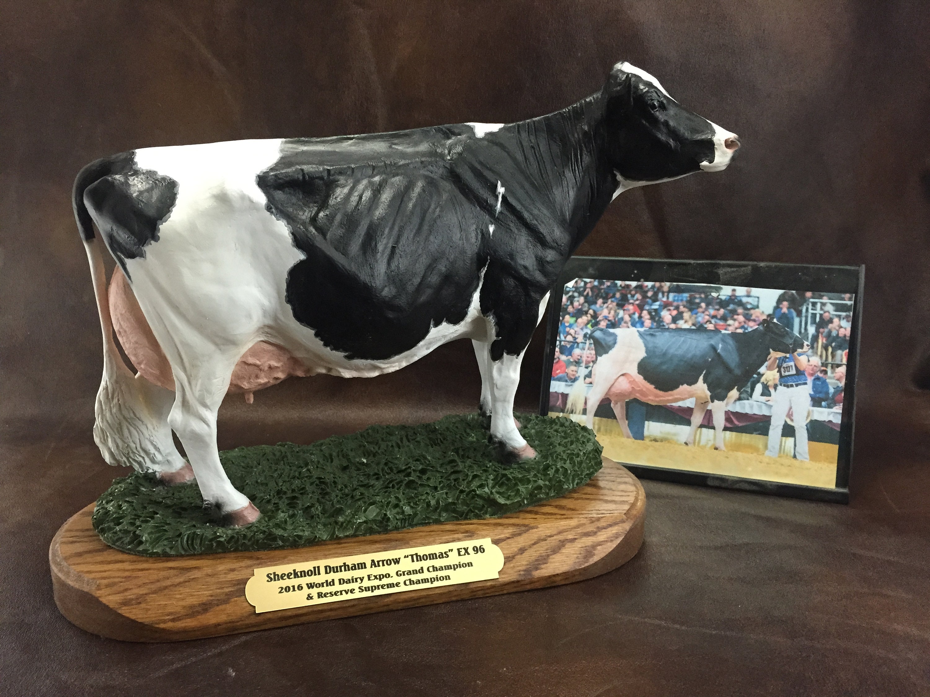 Dairy Cow, Holstein, Jersey, Brown Swiss, Ayrshire, Guernsey