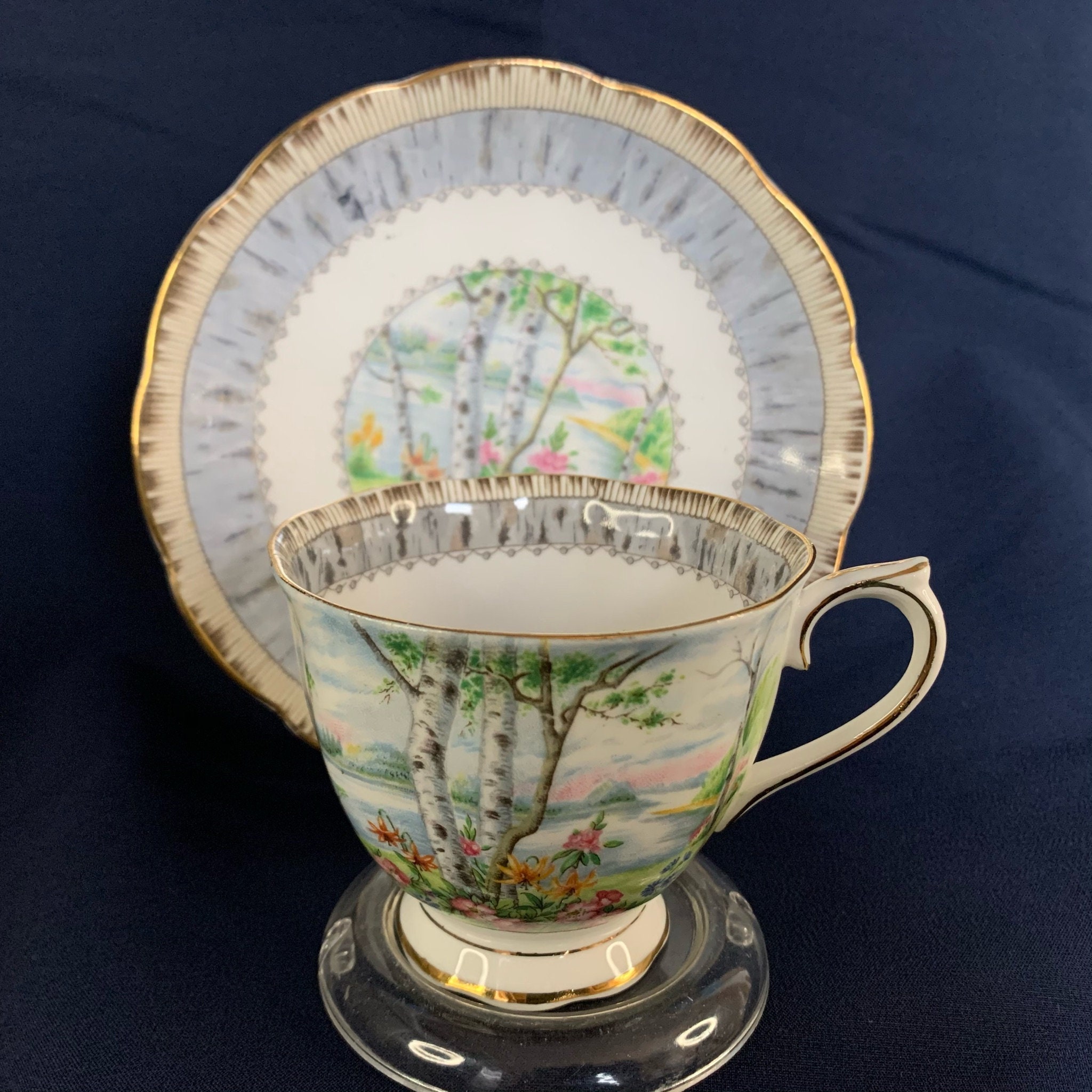 Royal Albert SILVER BIRCH Bone China Tea Cup and Saucer Etsy