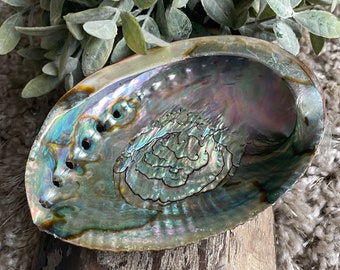 Abalone Shell | Smudging, Altar, Meditation