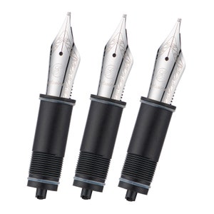 Pennini per penna stilografica Asvine n. 6. Pennini sostituiti (pennino extra fine, fine e medio) per Asvine V169, P20, P30 e V126, NON compatibili con P36.