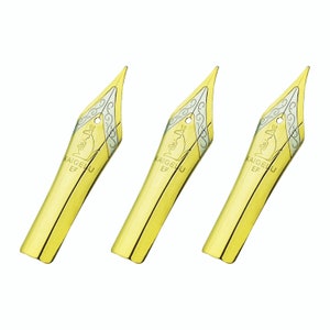 Pennino per penna stilografica Kaigelu da 3 pezzi, EF F M per Kaigelu 316, 316A, 456, Jinhao 100, 450, 750, Yongsheng 699