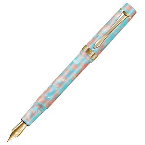 Pluma estilográfica de resina rosa LIY, pluma de regalo empresarial de punta fina Schmidt, pluma ejecutiva para firma y colección