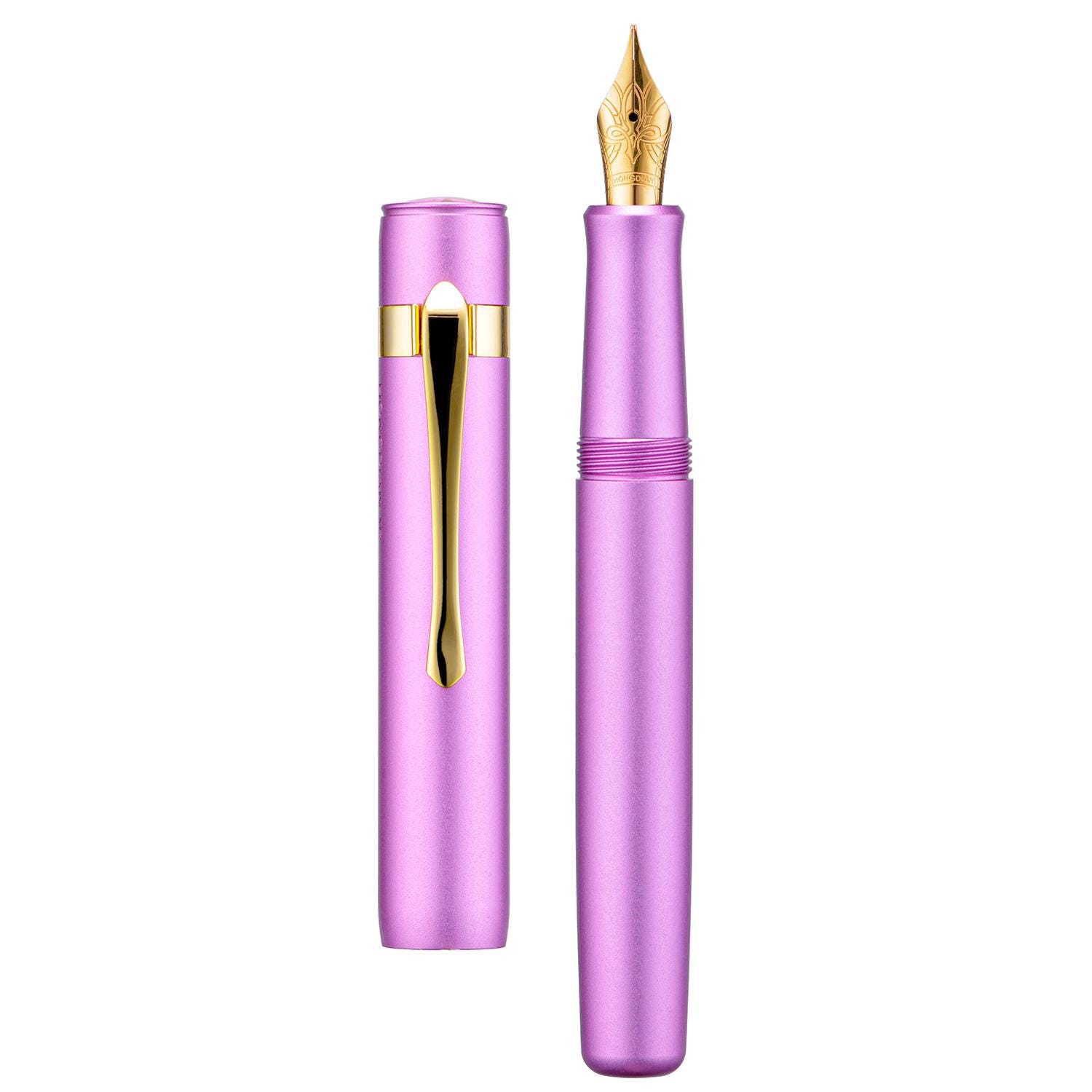 HONG DIAN Mini Stylo Plume M2 Black Forest, Pointe Courbée Et Forme