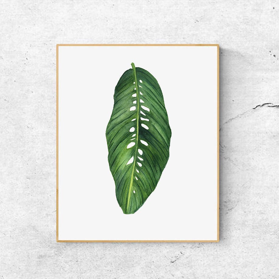 Tropical Leaf Watercolour Art Print Botanical Art Print | Etsy
