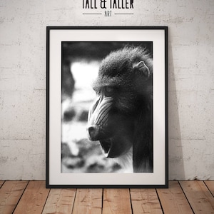 Der Affe Poster, Tier druckbare Kunst, Safari Print, schwarz & weiß Fotografie, Mandrill Pavian Sofortiger digitaler Download, Affe Poster.