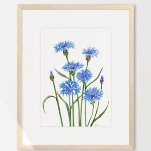 Bachelor's Buttons Wall Art, Blue Cornflower Print, ALS Flower of Hope, Blue Botanical Print, Watercolor Floral, Bathroom Wall Art