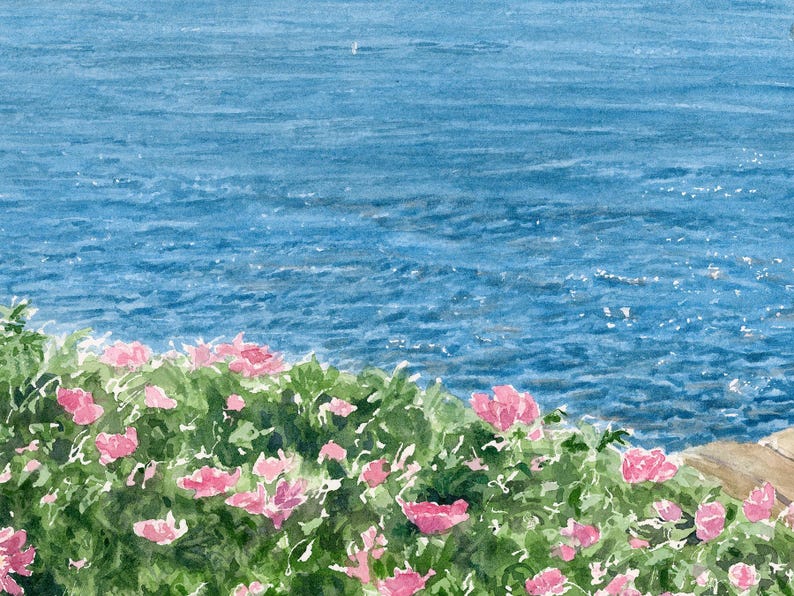 Close-up detail of Spruce Point highlighting pink roses against the sparkling blue waters of Boothbay Harbor.