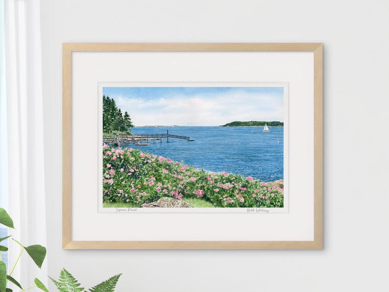 Framed watercolor art print of Spruce Point staged in a bright interior, featuring blooming roses and ocean view in Boothbay Harbor.