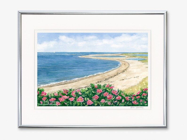 Chatham Lighthouse Beach Roses Print Watercolor Beach Etsy