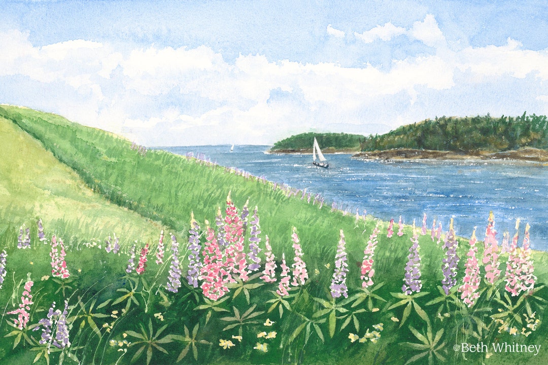 Deer Isle Maine Lupine Art Print, Watercolor Seascape, Coastal Painting, Maine Prints, Floral