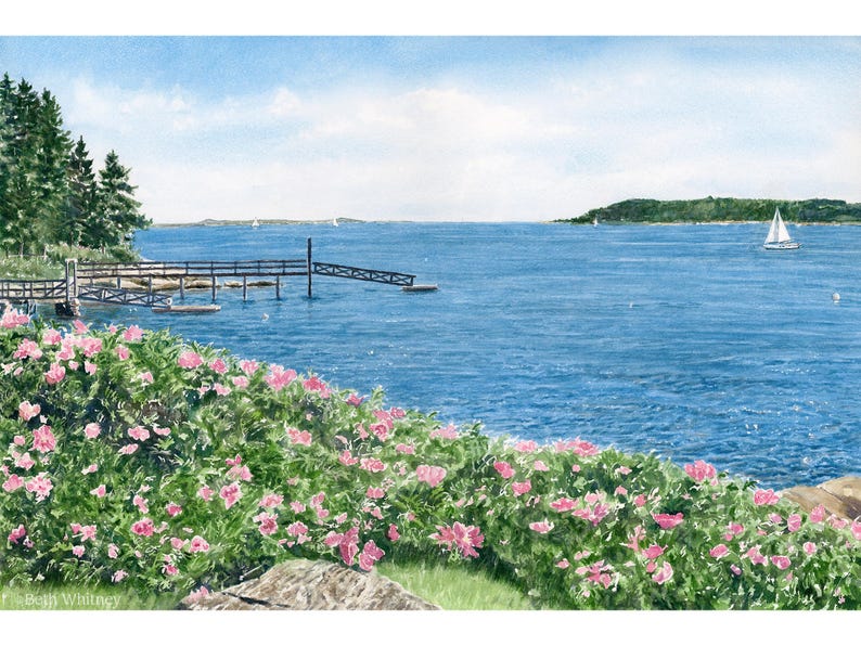 Watercolor painting titled “Spruce Point” depicting roses blooming above the rocky shore of Boothbay Harbor with a sailboat gliding out to sea.