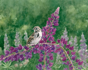Maine Lupine Art Watercolor Print, Song Sparrow Bird Painting, Gift for a Birder, Green & Purple Landscape Art, Nature Inspired Art