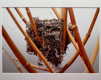 Nest-Photo printed on archival photo paper